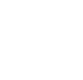 Anunithaa Logo